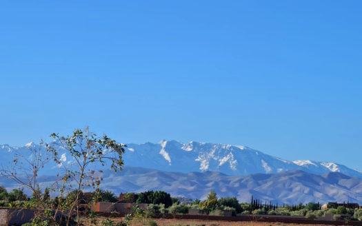 Terrains titrés et morceler